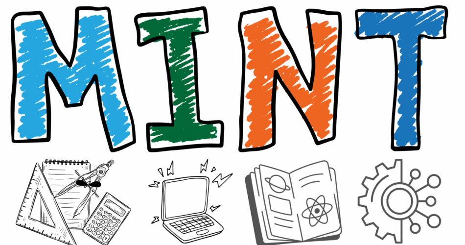 ein Logo zum Thema MINT